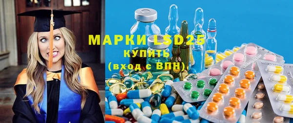мяу мяу мука Магас